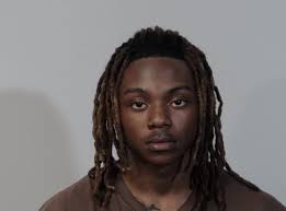 Tesla Vandalism by Armor Code Employee