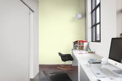 Check spelling or type a new query. Soft Apple Dulux