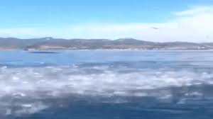 Dory is the deuteragonist of disney/pixar's 2003 animated film finding nemo and the titular protagonist of its 2016 sequel. Pick A Kayak With A Bite Sick A Tourist Who Watched A Whale S Mouth Out Of Nowhere Teller Report