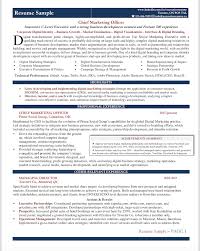 Resume Sample Chief Marketing Officer Cmo Resume Writing Services Resume Writing Professional Resume Writing Service