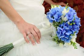 Hortensien sind äußerst beliebt, nur was den rückschnitt angeht, herrscht oft unschlüssigkeit. Blau Weisser Brautstrauss Mit Hortensien Und Tulpen Lange Stiele Blue Wedding Flowers Fresh Wedding Flowers White Bridal Bouquet