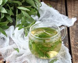 Tea infusions either hot or c. Images Of Lemon Verbena Alousia Trifolia Growing Lemon Verbena Plants General Planting Growing Tips Growing Lemon Verbena Includes A Detailed Plant Profile For This Perennial Herb Cold Hardiness And Tips