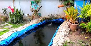 A pond is a much better solution for koi! 5 Actions To A Perfect Koi Fish Pond Dexter S World