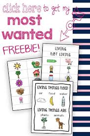 This Free Living And Non Living Things Packet Is A Simple But Wonderful Tool For Sorting Pra Living And Nonliving Science Tools Activities Kindergarten Science