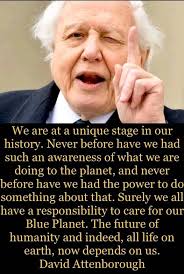 David Attenborough Fans