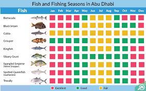 Fishing In Abu Dhabi Guide Best Spots Seasons License