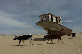 20 Photos Of The Shipwrecks Of The Aral Sea Abandoned Ships Shipwreck Oceans Of The World