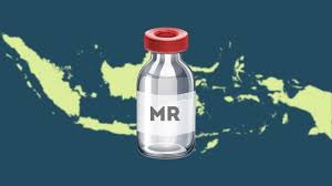 Hasil gambar untuk campak di eropa