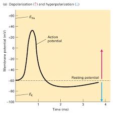 Fig01.Jpg