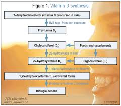 vitamin d supplementation an update