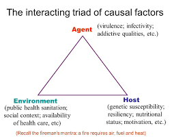 Triad Of Disease Basic Concepts Bsn Nursing Health
