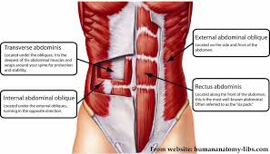 Check spelling or type a new query. Two Tips For Improving Your Hollow Body Redefine Strength Fitness