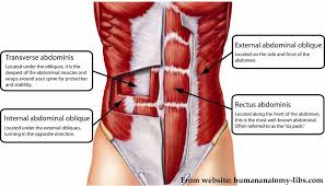 The organ that is located under the right. Two Tips For Improving Your Hollow Body Redefine Strength Fitness