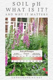 Maybe you would like to learn more about one of these? What Is Soil Ph And How To Work With It Empress Of Dirt