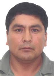 Ingresos de Otorongos Elecciones 2022