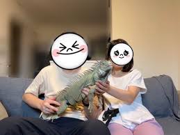 イグアナ 放し飼い