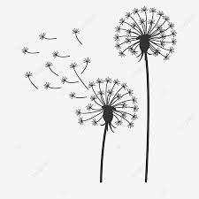 Check spelling or type a new query. Black And White Dandelion Clipart Flower Black And White Dandelion Clipart Png And Vector With Transparent Background For Free Download