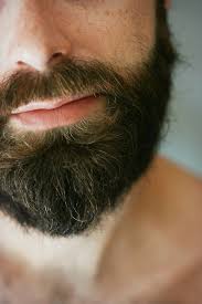 But it is imperative to dry your beard off completely after cleansing, especially if you are using hard water to cleanse. Tumblr Beard Lover Beard No Mustache Beard Hairstyle