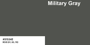 Image result for Gray Anticorrosive Ship Bottom Paint 1918 Military