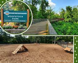 Woofstock Park Woodstock Ga In 2021 Dog Park Park Dog Area