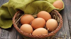 كل المعلومات حول البيض وحفظه وطريقة تناول ويب طب