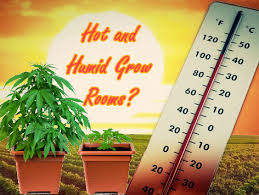 In this way, a grow dehumidifier is placed outside of the room and operates through the ducted connection between the device and the grow tent itself. What Can You Do When Your Grow Room Gets Too Hot Or Humid
