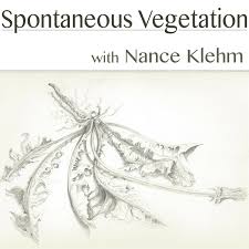 Spontaneous Vegetation Podcast Listen Reviews Charts