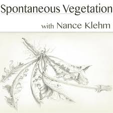 spontaneous vegetation podcast listen reviews charts