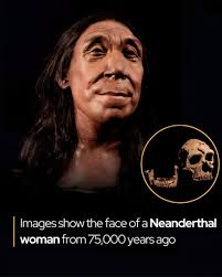 Neanderthal skeleton found in "flower funeral" cave