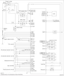 A wiring diagram is a simple visual representation of the physical connections and physical layout of an electrical system or circuit. Diagram Vn Ecu Wiring Diagram Full Version Hd Quality Wiring Diagram Waldiagramacao Calasanziofp It
