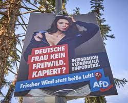 Plakate für theateraufführungen und discoabende zum beispiel, und jetzt, im wahlkampf, für die afd in der märtyrerrolle, das funktioniert für bernhard. Sexistisch Rassistisch Widerlich Koblenzerin Argert Sich Uber Afd Wahlplakate Koblenz Region Rhein Zeitung