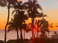 Paint Pāʻina & Ritz-Carlton TURTLE BAY, Paint the Ocean