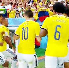 Find everything from funny gifs, reaction gifs, unique gifs and more. Funny Gifs James Rodriguez Gif Vsgif Com
