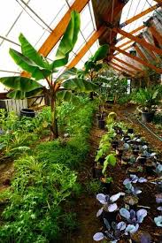 Check spelling or type a new query. How To Design A Year Round Solar Greenhouse Mother Earth News