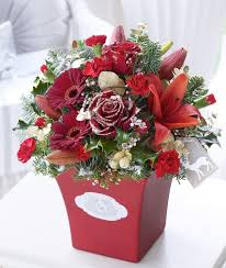 Maybe you would like to learn more about one of these? Latest News And Updates From Mallow Flowers Cork Mallow Flowers Blog Christmas Flowers Mallow