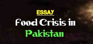 Describe The Causes Of Food Shortage In Pakistan Report Food Crisis In Pakistan Ppt History Of Food Crisis In Pakistan Problem Of F Crisis Undernourished Essay