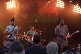 The Skints The Cost Of Living Is Killing Me Stormilianz Blues Omar Concert