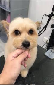 Chan Fong Wan (@chanfong.wan.7) • Facebook, Connect with friends