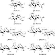 Q 11 anomere der glucose. Schematic Structural Diagrams Of The Anomers Of D Glucose D Mannose Download Scientific Diagram