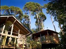 Keldy Yorkshire Forest Pictures Images Cabin Romantic Weekend Getaways Forest Pictures