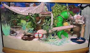 The most important thing is to set up the enclosure before you add the crabs. Crabitat 1 09 Hermit Crab Habitat Hermit Crab Cage Hermit Crab Homes
