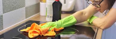 Comment Nettoyer Une Plaque A Induction Et Autres Plaques De Cuisson