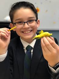 Students in Kara Mertz's sixth grade Spanish class have been learning about  alebrijes, traditional Mexican folk art sculptures that originated in the  Mexican state of Oaxaca. Students learned about the history behind