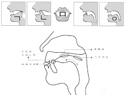 Maybe you would like to learn more about one of these? Huruf Korea Konsonan Hangul Cara Pengucapan Yg Benar Seoulina Com