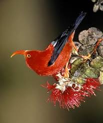 Pin On Science Nature