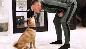 Profile page for austria football player marko arnautovic (striker). Fussball Marko Arnautovic Vom Enfant Terrible Zum Ofb Fuhrungssp