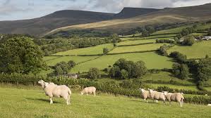 It has a total area of 2,064,100 hectares (5,101,000 acres) and is about 170 mi (274 km) from north to south and at least 60 mi. 10 Key Points Of Countryside Alliance Manifesto For Wales Farmers Weekly