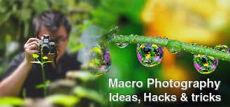 True macro photography is done using a dedicated macro (for canon products) or micro (for nikon products) lens, which has the capability of achieving at least a 1:1 magnification. Macro Photography Ideas Hacks Tricks Color Experts International Inc