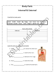 We did not find results for: Internal External Body Parts Esl Worksheet By Amygm