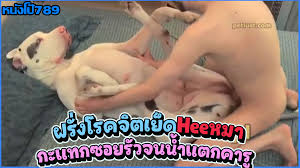 คนเย็ดหมา | หนังโป๊789 XXX PORN คลิปหลุด หนังx หี JAV